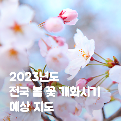  완벽한 봄꽃 여행을 위한 '2023 전국 봄 꽃 개화시기 예상 지도'