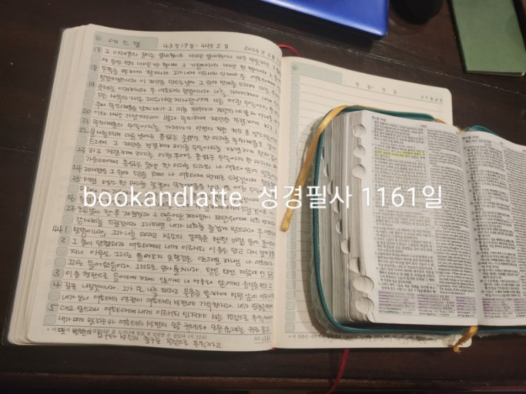  《필사 1161일》 43:17~44:5