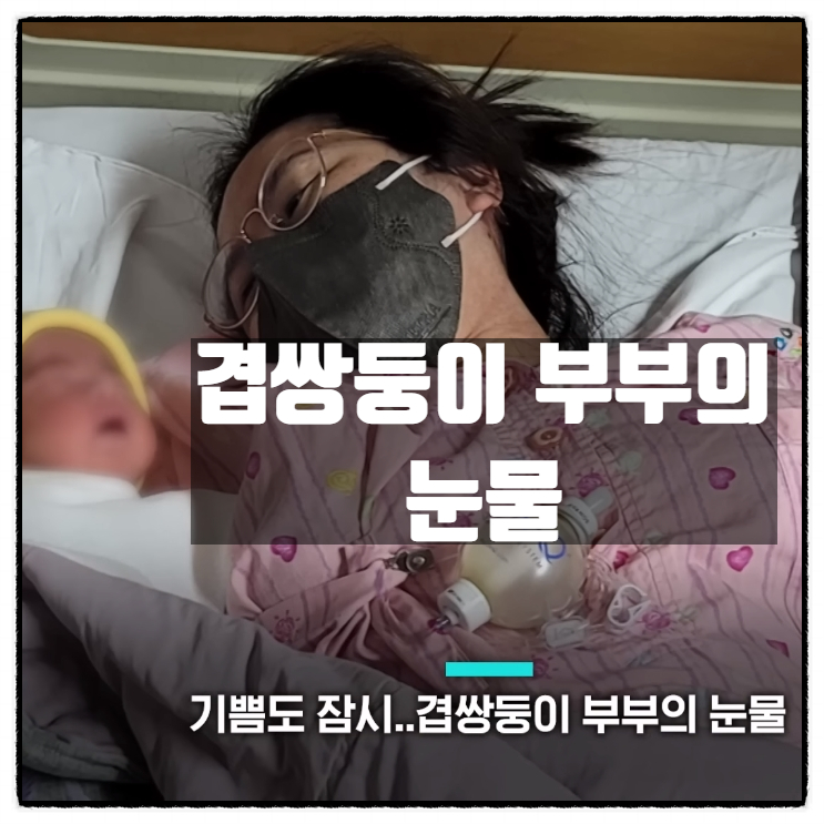 겹쌍둥이 부부의 눈물 뉴스를 보고 돈을 존나 많이 벌고 싶다는 생각을 함 겹쌍둥이 부부의 눈물 뉴스를 보고 돈을 존나 많이 벌고 싶다는 생각을 함
