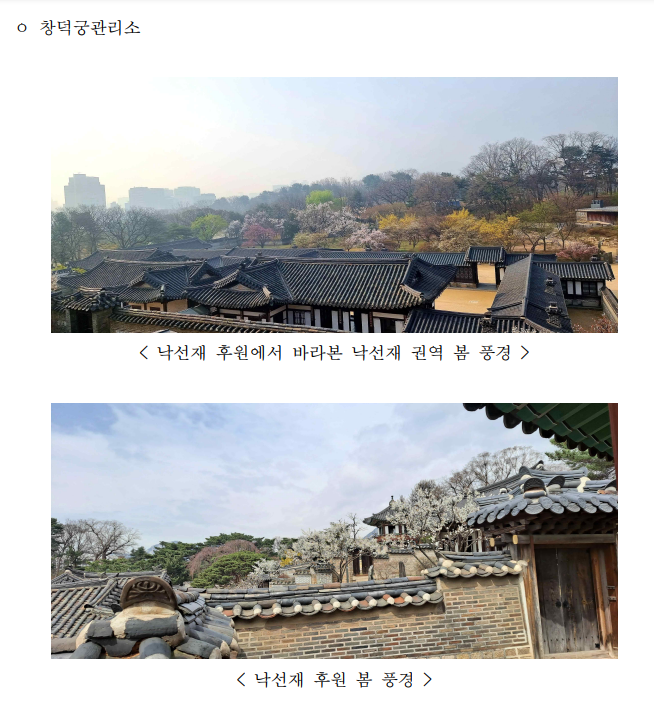 창덕궁·덕수궁에 내려온 봄 맞으러 오세요 창덕궁·덕수궁에 내려온 봄 맞으러 오세요
