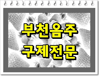  부천 음주운전 면허취소라면