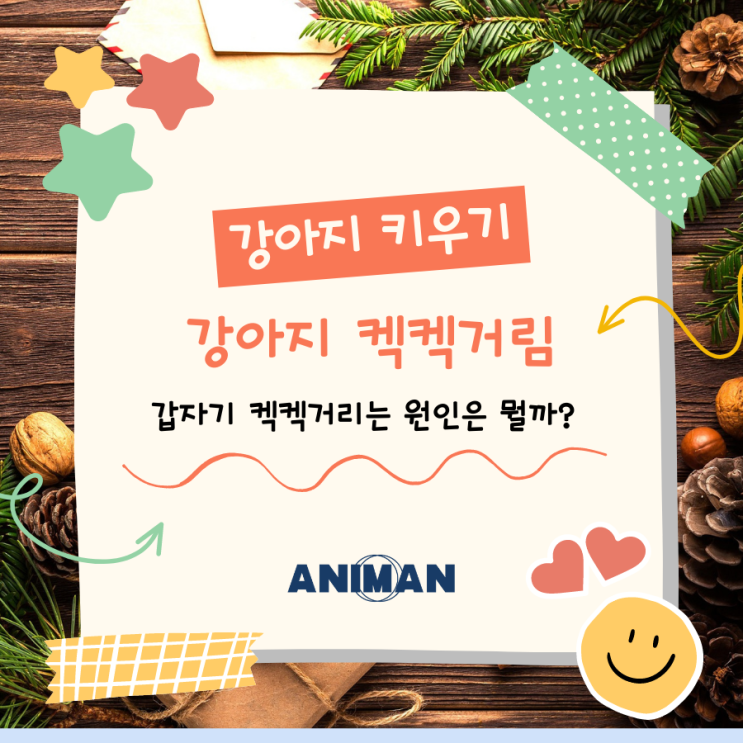  [강아지키우기] 강아지 켁켁거림 원인과 해결방법은? / 강아지 기침, 켁켁거림