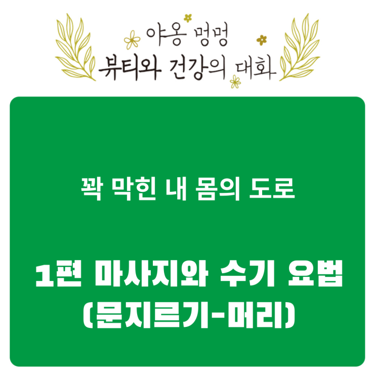  꽉 막힌 내 몸의 도로: 1편 마사지와 수기 요법(문지르기-머리)