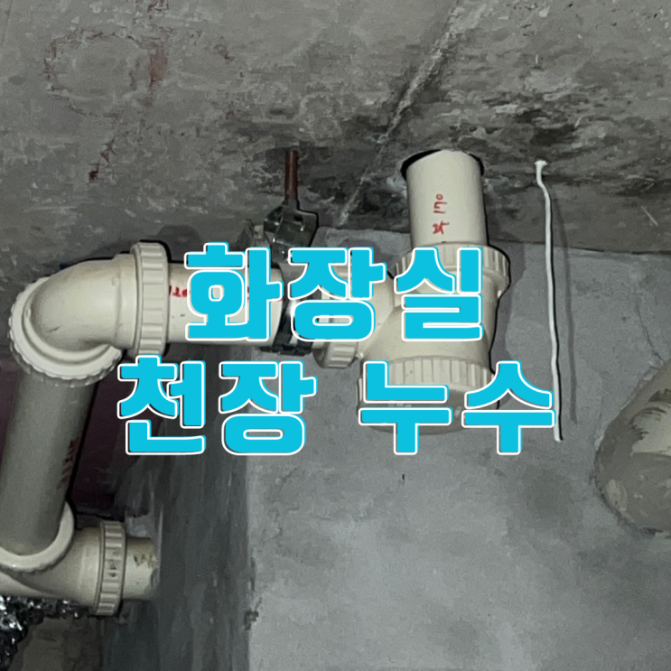  동탄누수탐지 화장실 천장 누수-하얀 고드름이 천장에?