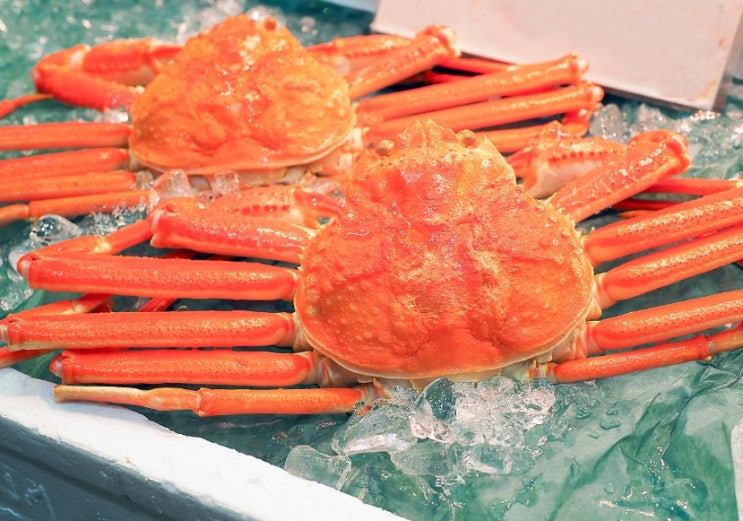 홍게제철은? 맛있는홍게 구매방법 미자네수산 홍게제철은? 맛있는홍게 구매방법 미자네수산