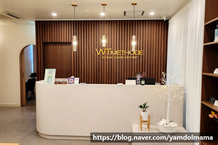  세종시탈모관리 WT메소드 세종점에서 두피관리 받고 왔어요