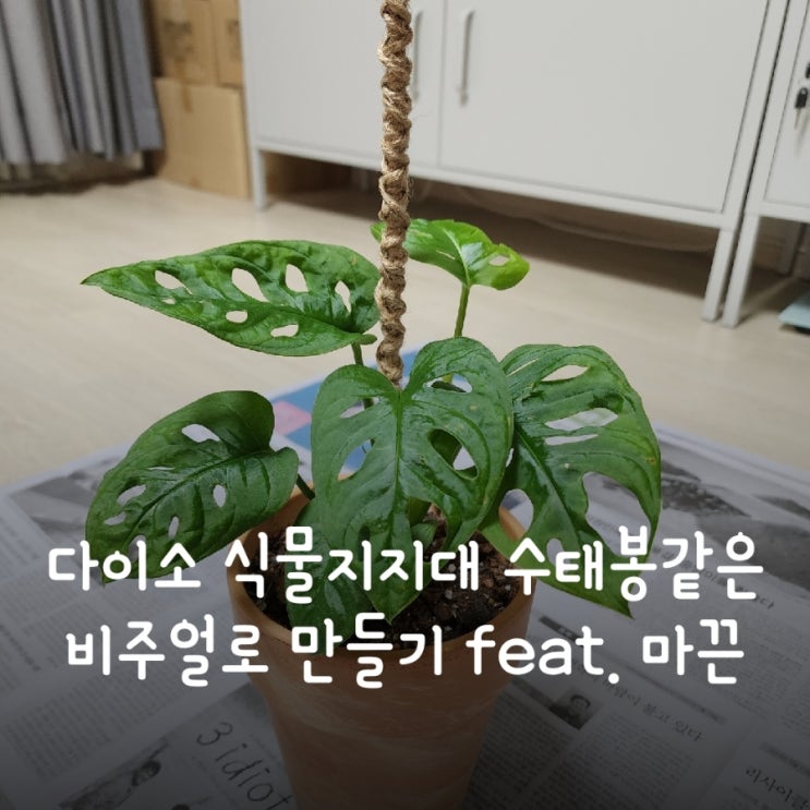  다이소 식물지지대 수태봉같은 비주얼로 만들기 feat. 마끈