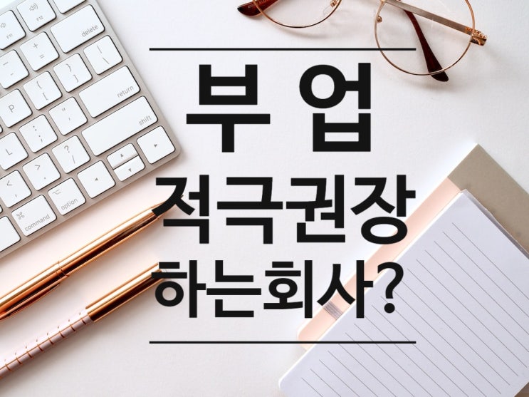  직장에서 부업남이 되라고 권장하는 회사 : 부업나라야? 괜찮은부업방? / 북리뷰 책리뷰