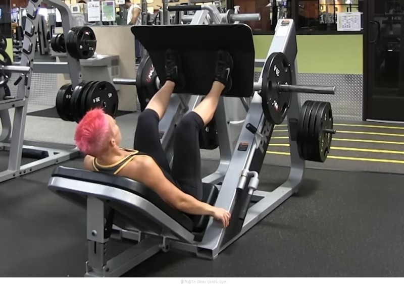 파워레그프레스 레그프레스 기구 차이 여자 건강한다이어트 위한 하체운동 근력운동 근육운동 종류 : 네이버 블로그