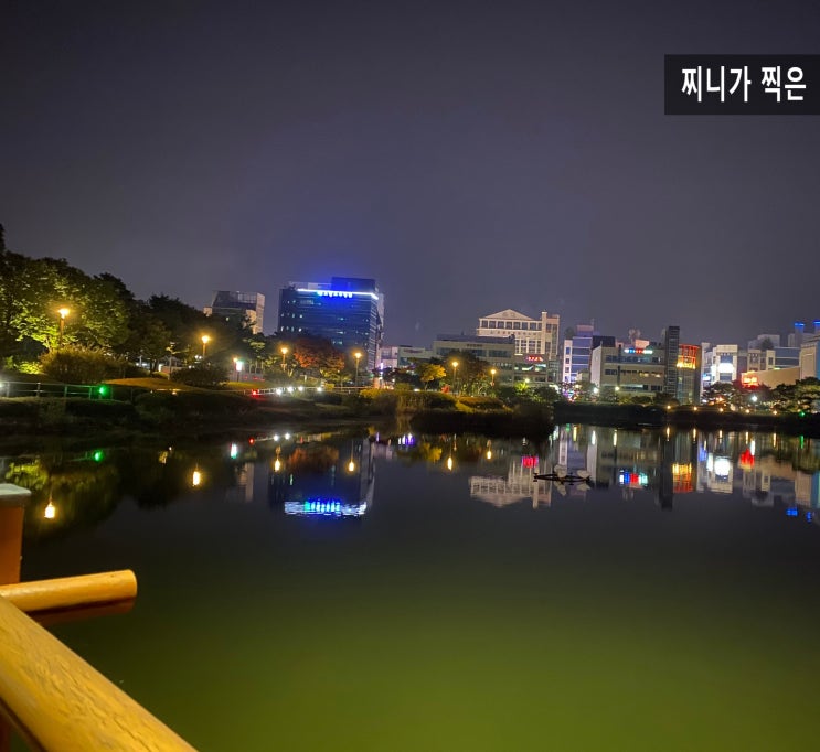  오창호수공원으로 밤 산책 다녀오기(with.마이봉)