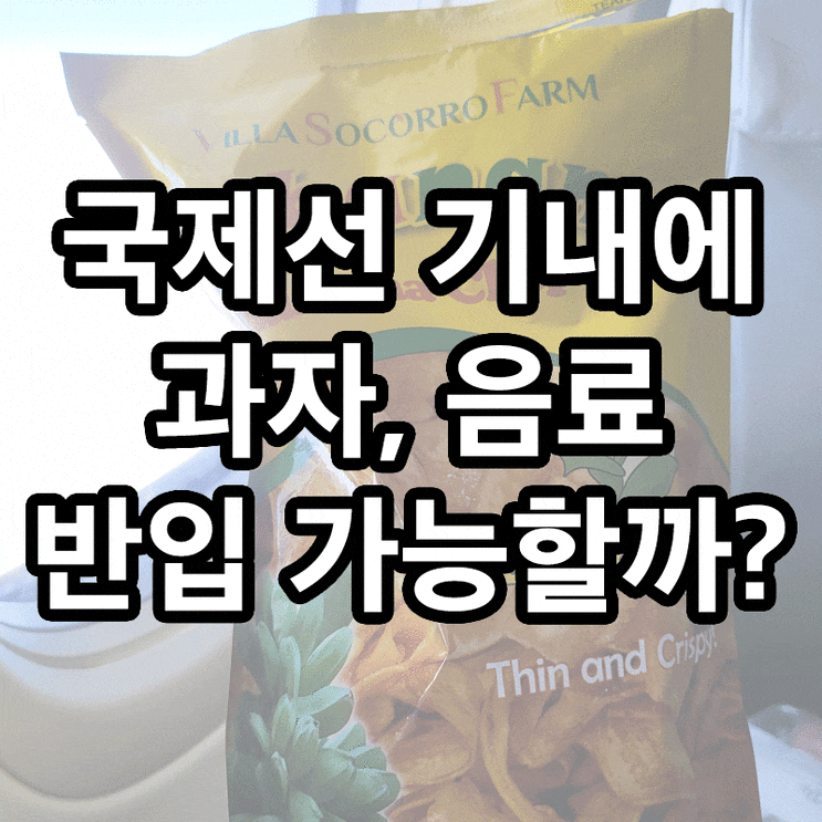  비행기 기내 과자, 음료 반입 가능할까? 초간단 정리! (안되는 음식)