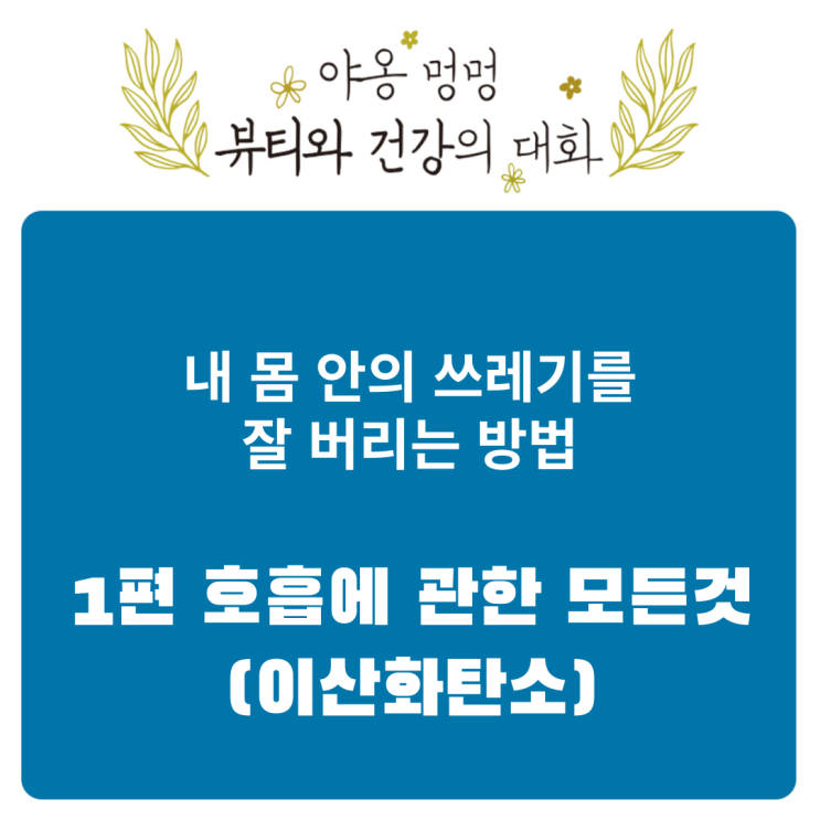  내 몸 안의 쓰레기를 잘 버리는 방법: 1편 호흡에 관한 모든 것(이산화탄소)