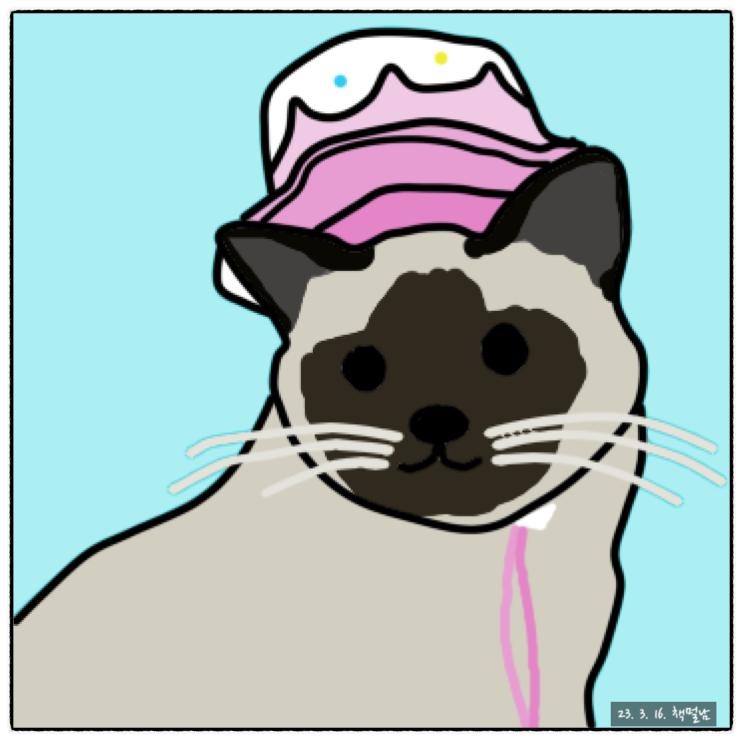  샴고양이 그림, "그림 초보, 캐릭터 그리기 도전!"