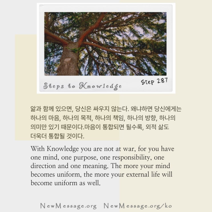 제 287 계단 : 앎과 함께 있으면, 나는 싸울 수 없다 With Knowledge I cannot be at war. 제 287 계단 : 앎과 함께 있으면, 나는 싸울 수 없다 With Knowledge I cannot be at war.