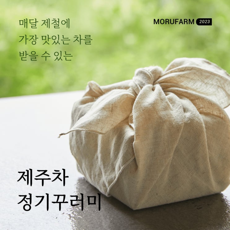 제주데이트코스 :: 제주녹차 농장체험 이색데이트 '모루농장'