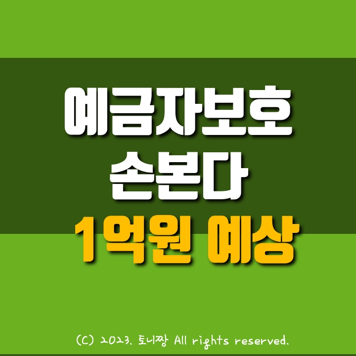 한국도 예금자보호 손본다. 현 5천만원에서 1억원까지 상향 예상 한국도 예금자보호 손본다. 현 5천만원에서 1억원까지 상향 예상