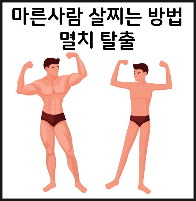  마른 사람 살찌는 방법 (멸치 탈출 하기) Tip