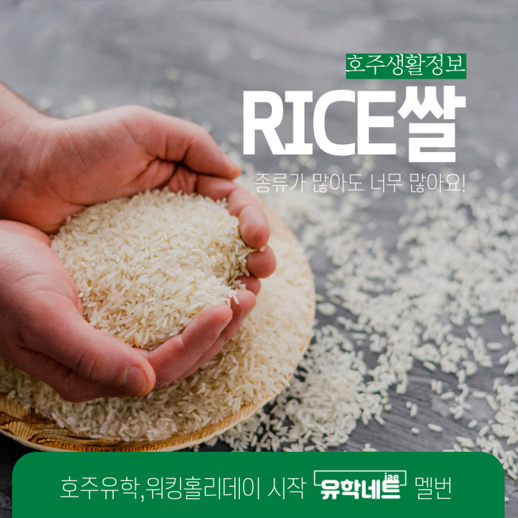  호주 마트 쌀 종류, 알아보고 알맞는 것으로 구매해요. (유학네트 멜버른)