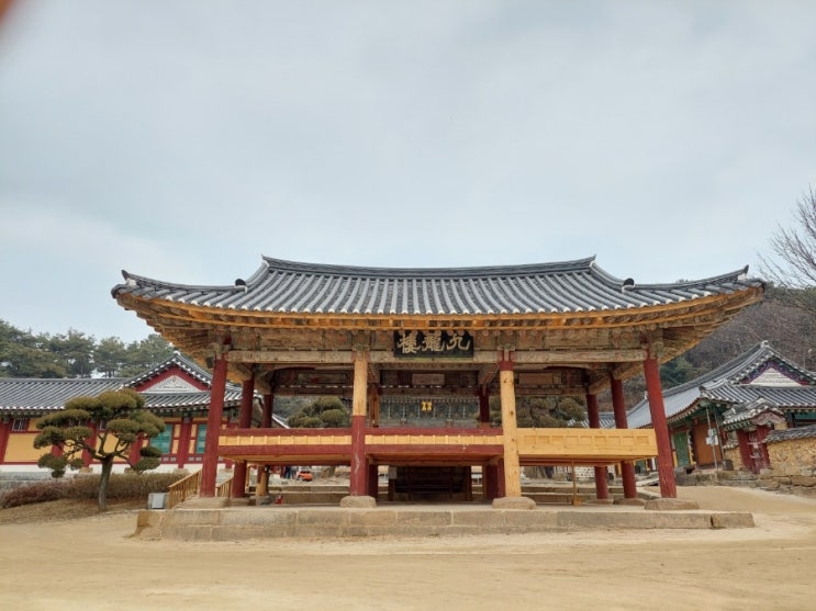  2023년 3월 1일: 신륵사