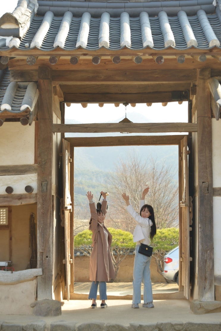  안동시티투어 :: 친구랑 함께 간 3월 여행지 안동여행 (부용대, 낙동강, 벚꽃길, 하회마을)