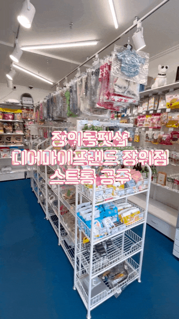  장위동펫샵 장위동핫플레이스 디어마이프랜드 장위점 반려동물편의점 후기