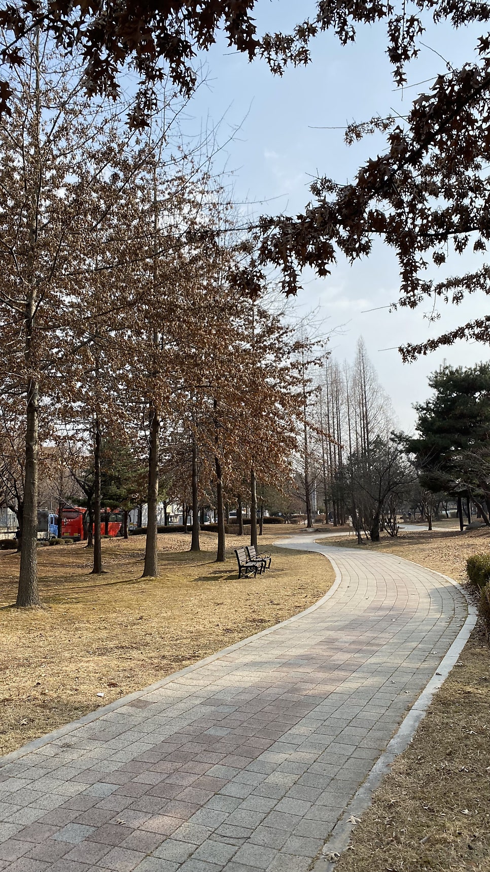 이모네서한잔 사진 1
