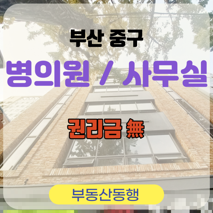  부산 중구 상가 / 리모델링 후 권리금 없는 상가 매물