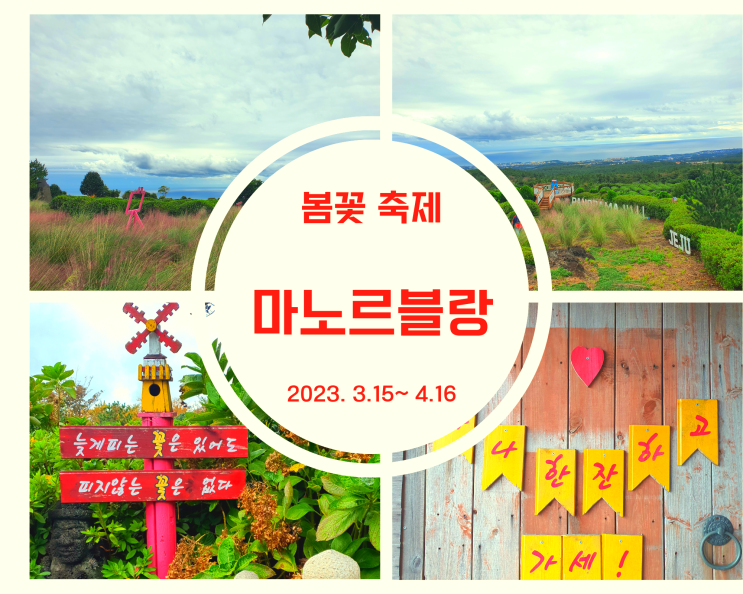  3월4월 봄꽃 축제 떠나요 제주 마노르블랑으로