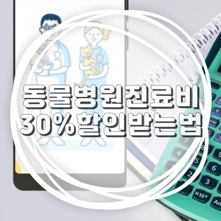  동물병원 진료비 할인 받는 법 ft.페이백