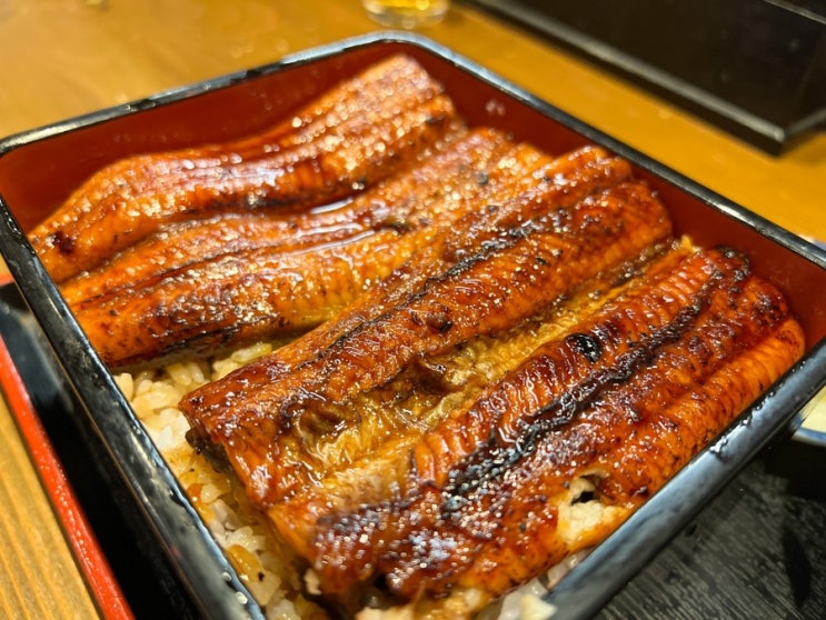  오사카 니혼바시 마루에이 난카이 난바역 근처 장어덮밥 맛집