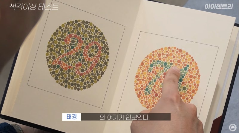적록색약의 모든 것! 색맹과 색약의 차이, 색각이상 검사와 처방 : 네이버 블로그