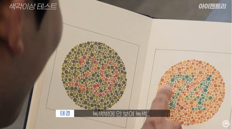 적록색약의 모든 것! 색맹과 색약의 차이, 색각이상 검사와 처방 : 네이버 블로그