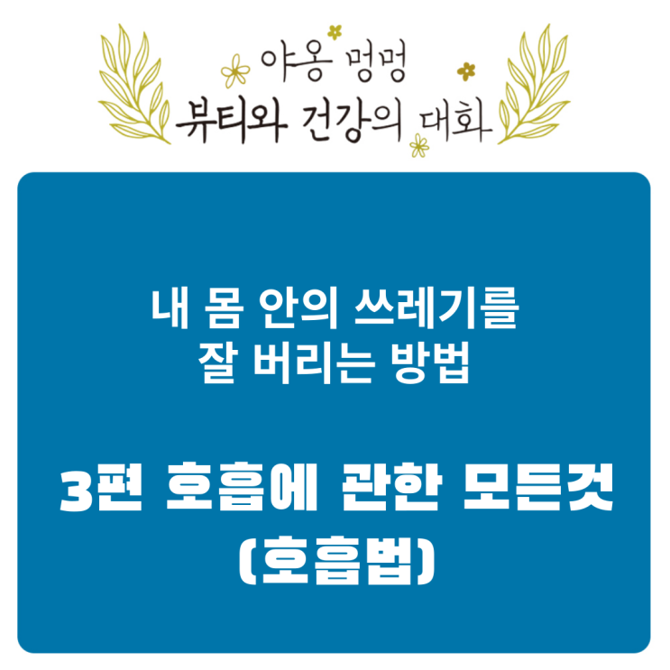 내 몸 안의 쓰레기를 잘 버리는 방법: 3편 호흡에 관한 모든 것 (호흡법)