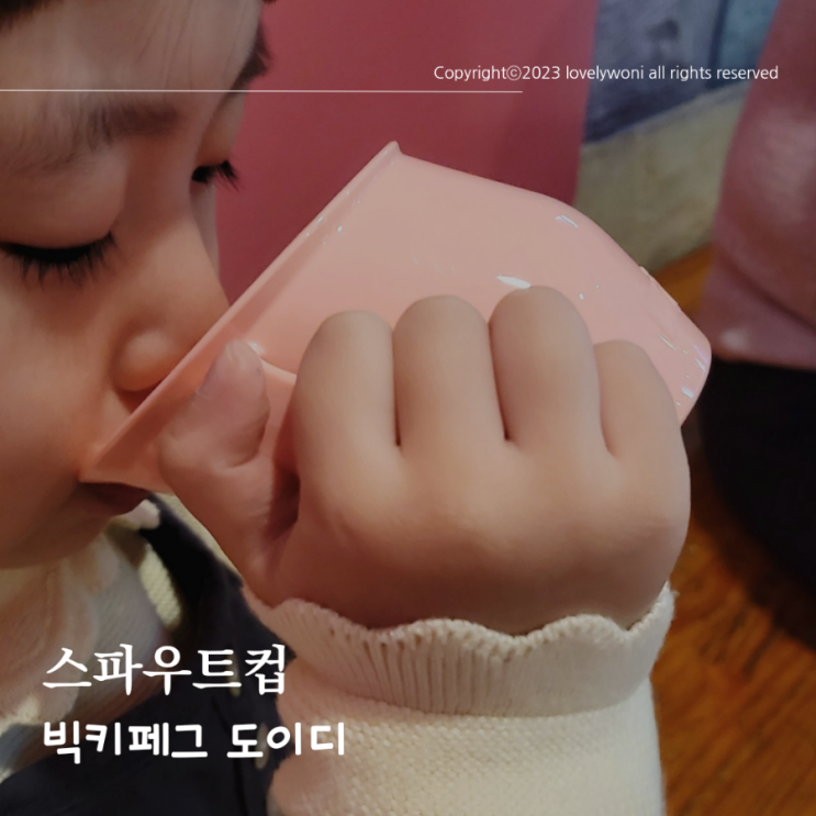  스파우트 컵 어린이집컵 빅키페그 도이디 트레이닝 컵 추천