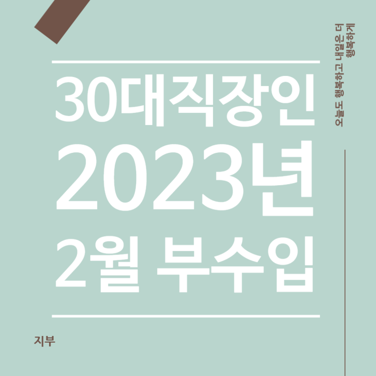  2023년 1월 30대 직장인 부수입 220,855원