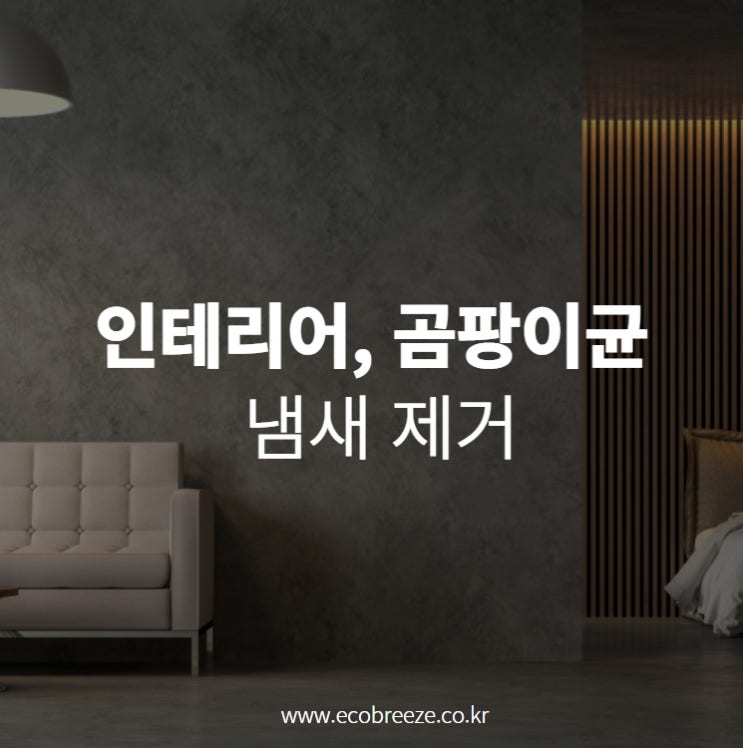  집안 곰팡이 냄새, 인테리어 후 새집 냄새 제거 동시에 시공하는 방법