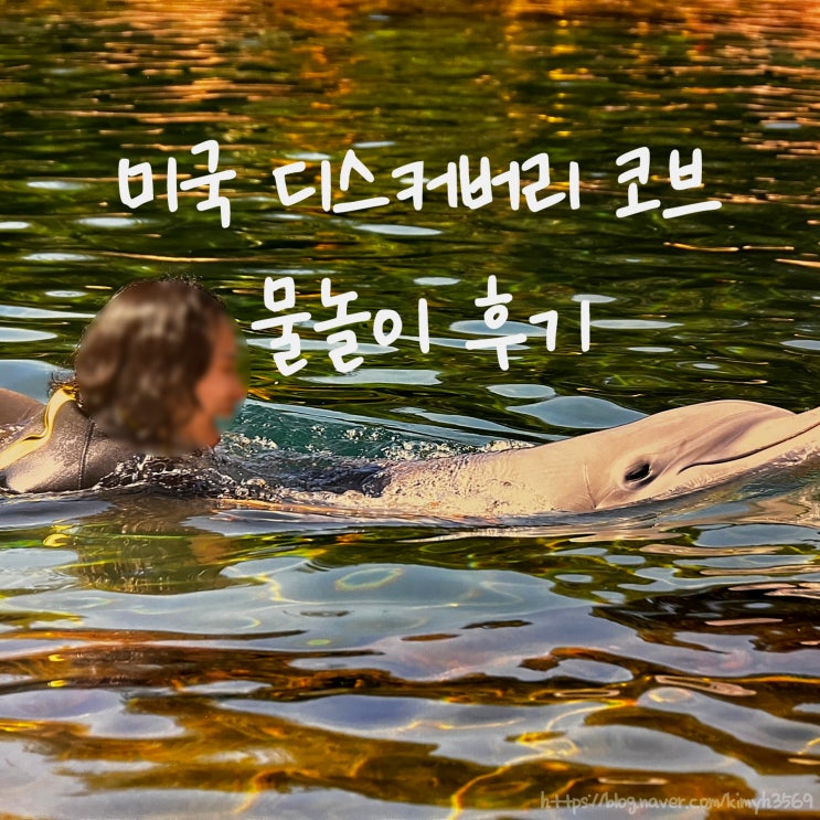  미국 올랜도 여행지! 돌고래 만날 수 있는 디스커버리 코브