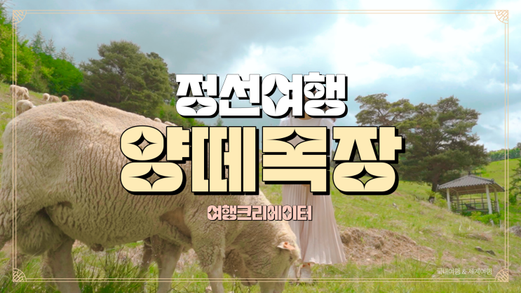  강원도 정선여행 양떼목장, 서울 근교에서 가볼 만한 곳, 가족들과 함께 방문하기 좋은 관광지, 봄맞이 주말 나들이 드라이브