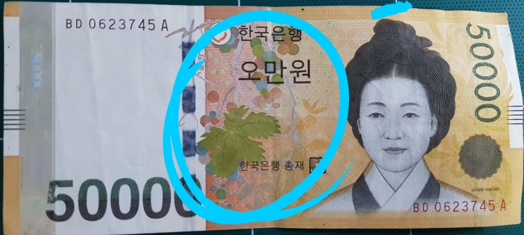  [풍수 길상 그림] 5만 원권 속 신사임당 묵포도도