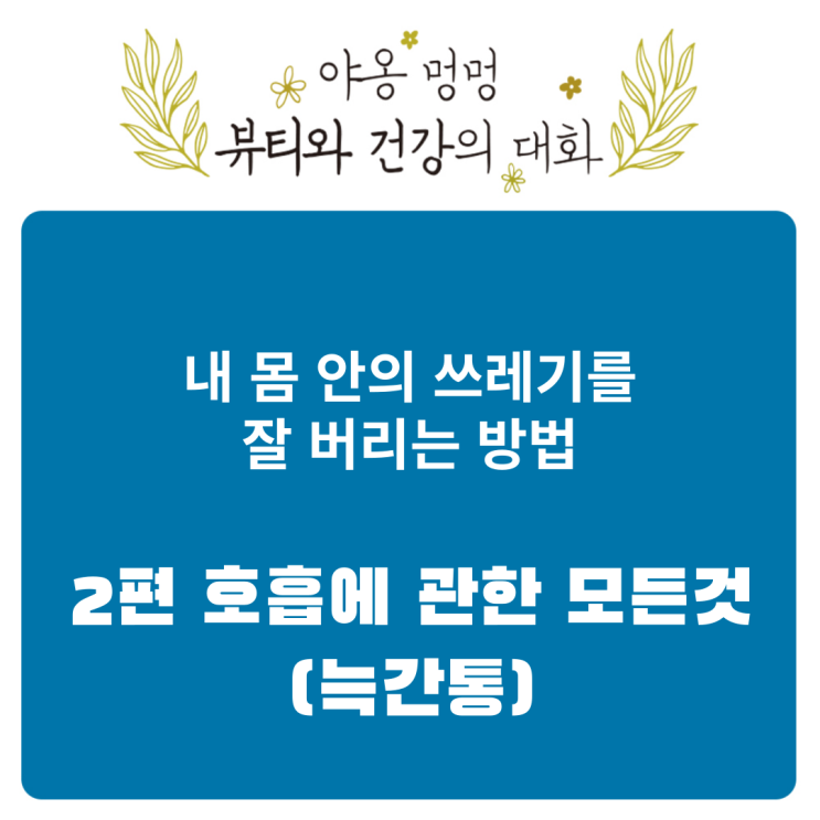 내 몸 안의 쓰레기를 잘 버리는 방법: 2편 호흡에 관한 모든 것       (늑간통)