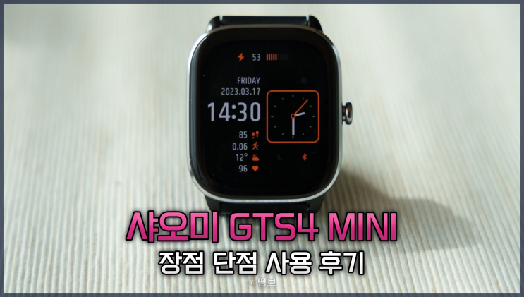  GTS4 mini 2개월 장점 단점 사용후기