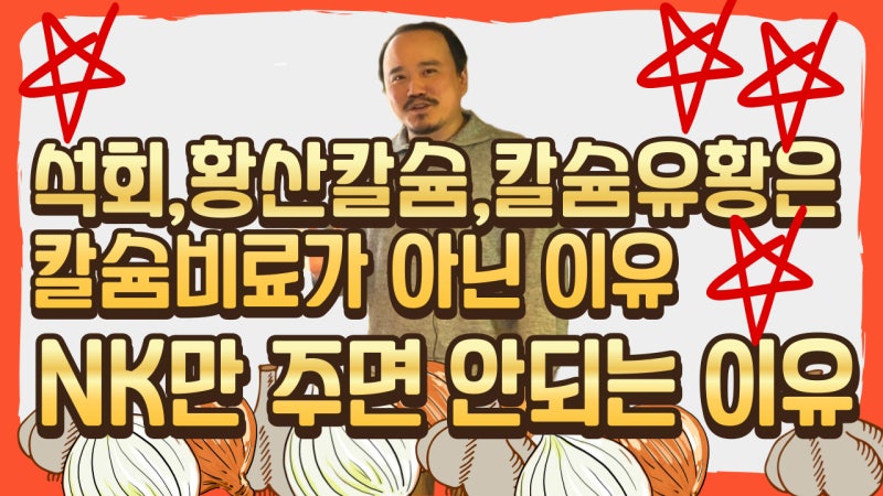 마늘, 양파 추비 제대로 주는 법. 석회, 황산칼슘, 칼슘유황은 칼슘비료가 아니다 | 야라코리