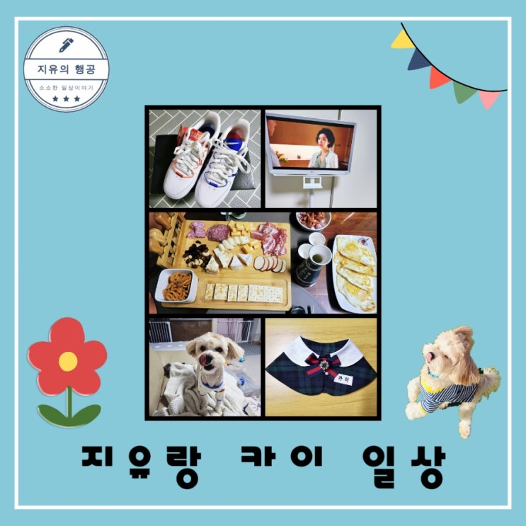 화이트데이 선물과 LG 룸앤TV 그리고 말티푸 카이 일상