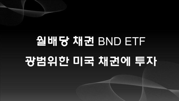  월배당 채권 BND ETF,  미국 채권시장에 투자