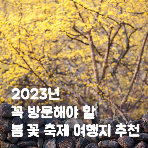  2023년 꼭 방문해야 할 봄 꽃 축제 여행지 추천