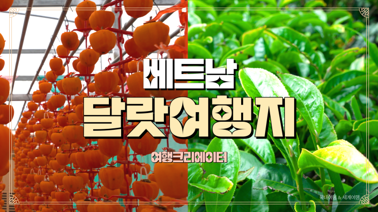  베트남 달랏 원데이투어 녹차밭, 곶감 팜투어 부온홍옹탕 VUON HONG ONG THANG