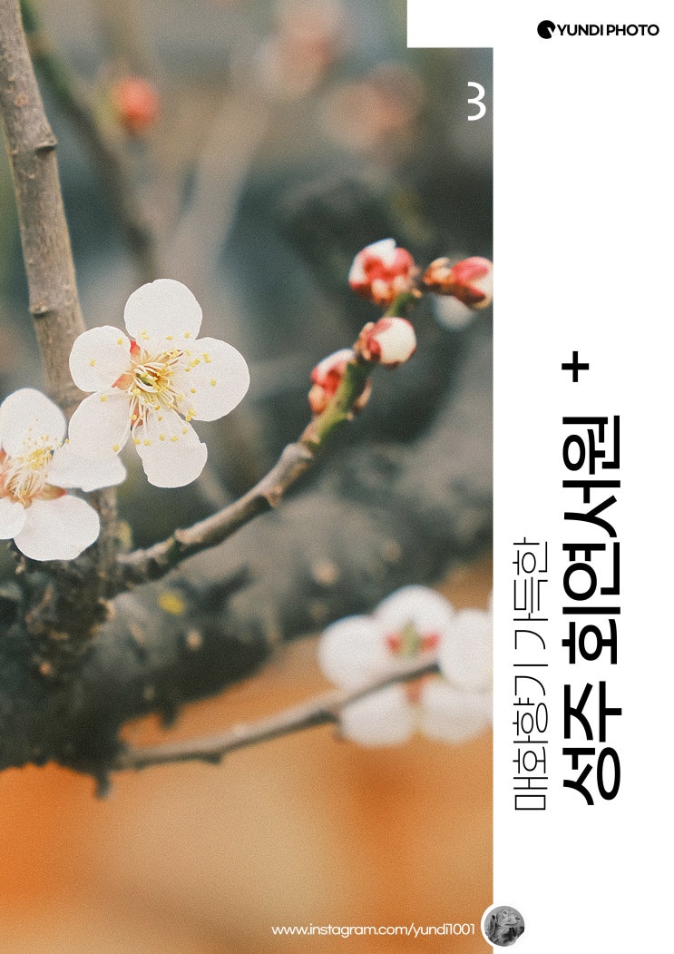 성주가볼만한곳 회연서원 성주가볼만한곳 회연서원