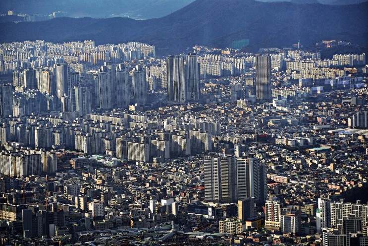 대구를 발견하다: 한국의 활기찬 도시