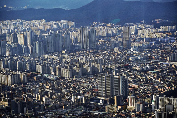  대구를 발견하다: 한국의 활기찬 도시