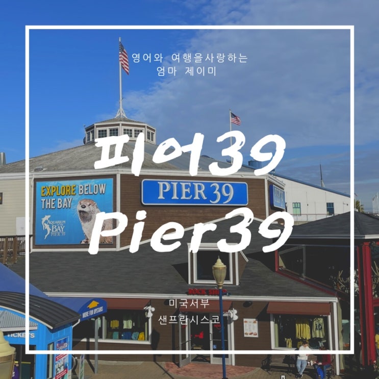  피어39 PIER39 | 톡파원25시 56회| 바다사자, 보딘베이커리 클램차우더